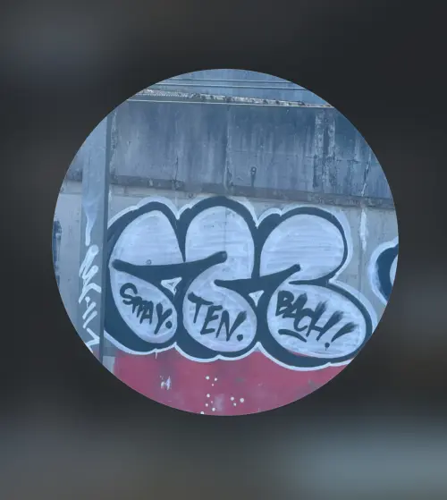 SwissCargoSpotting