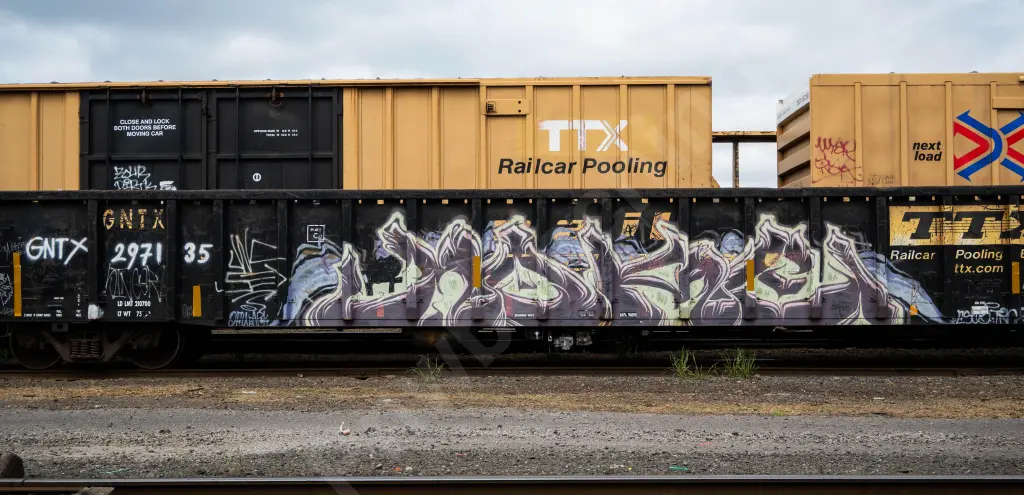 GNTX297135 - NORTH-AMERICA