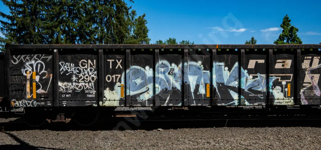 GNTX290017 - NORTH-AMERICA