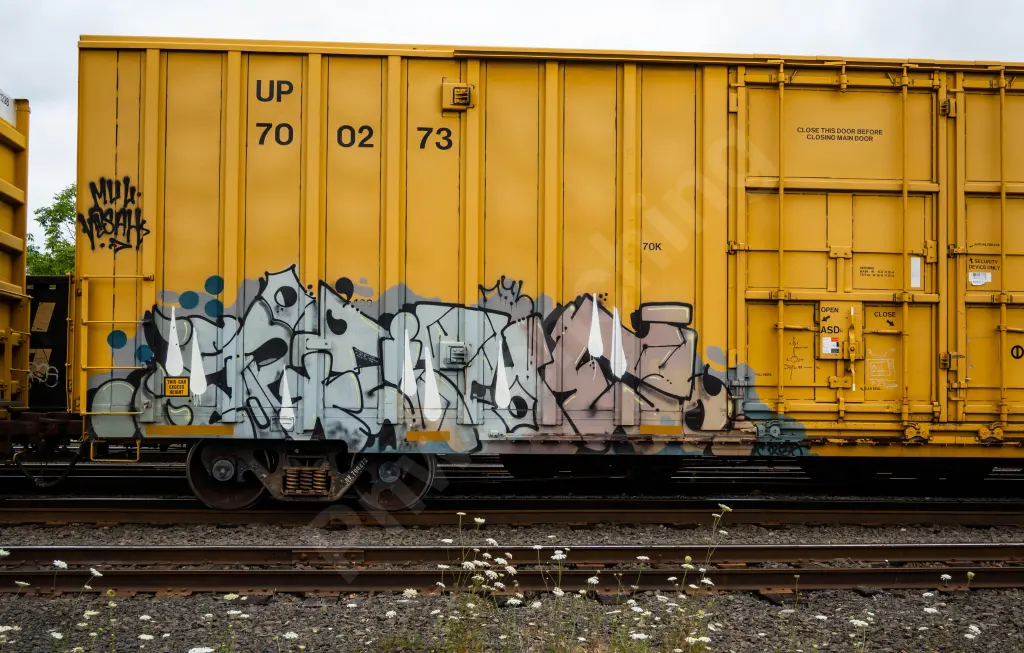 UP700273 - NORTH-AMERICA