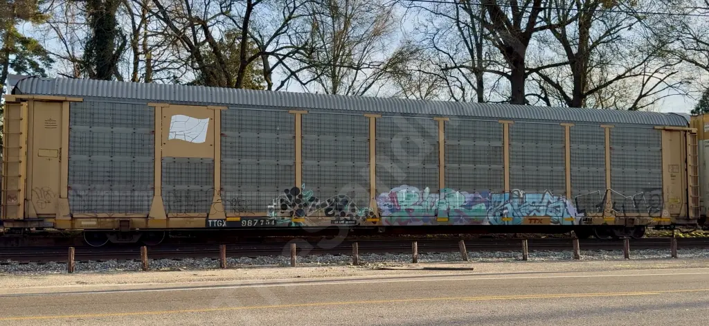 TTGX987754 - NORTH-AMERICA