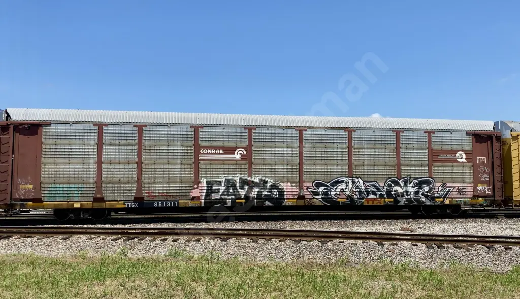 TTGX981311 - NORTH-AMERICA