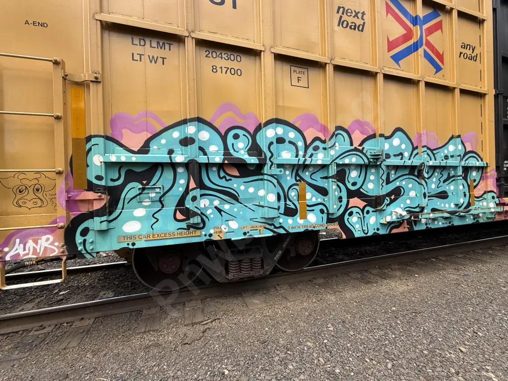 TBOX676281 - NORTH-AMERICA