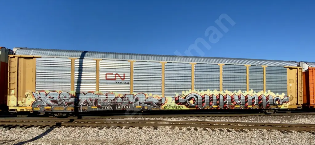 TTGX706101 - NORTH-AMERICA