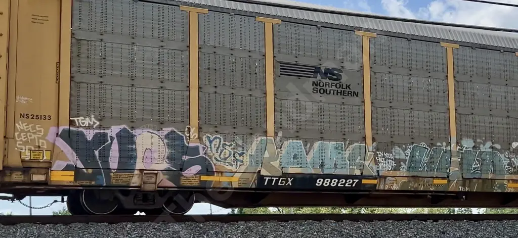 TTGX988227 - NORTH-AMERICA