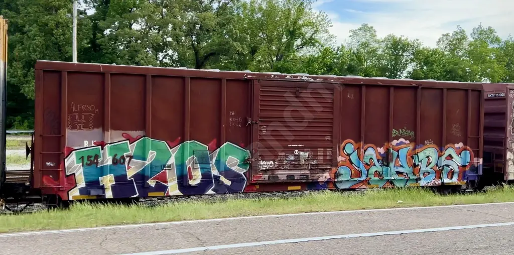 BKTY154607 - NORTH-AMERICA