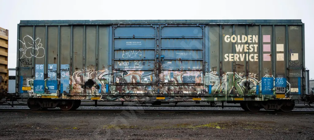 SSW67980 - NORTH-AMERICA