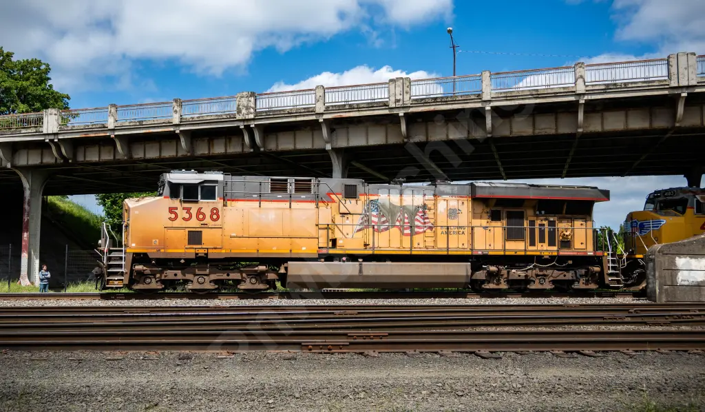 UP5368 - NORTH-AMERICA