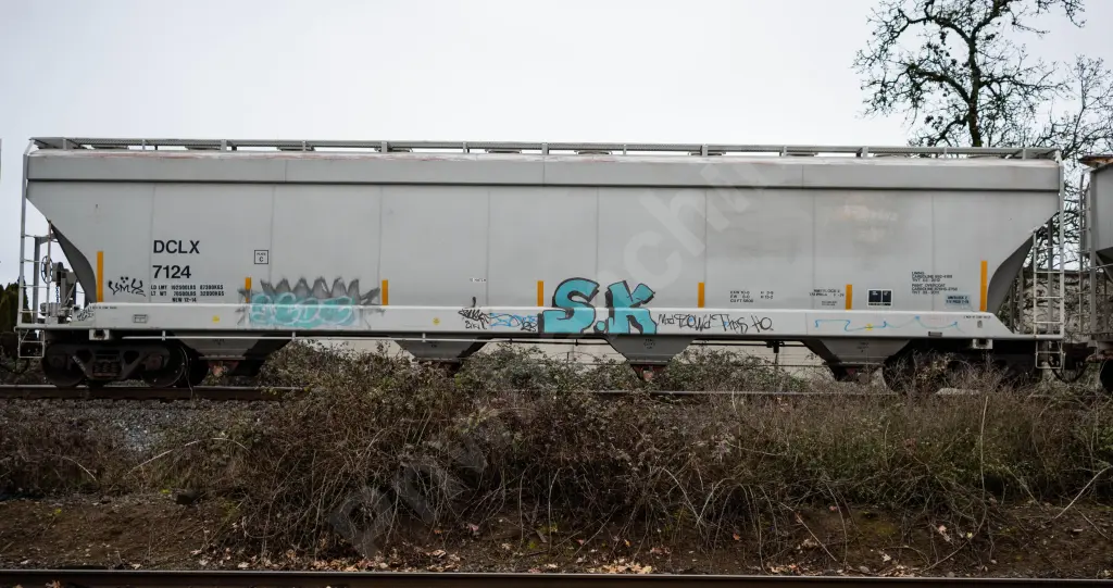 DCLX7124 - NORTH-AMERICA