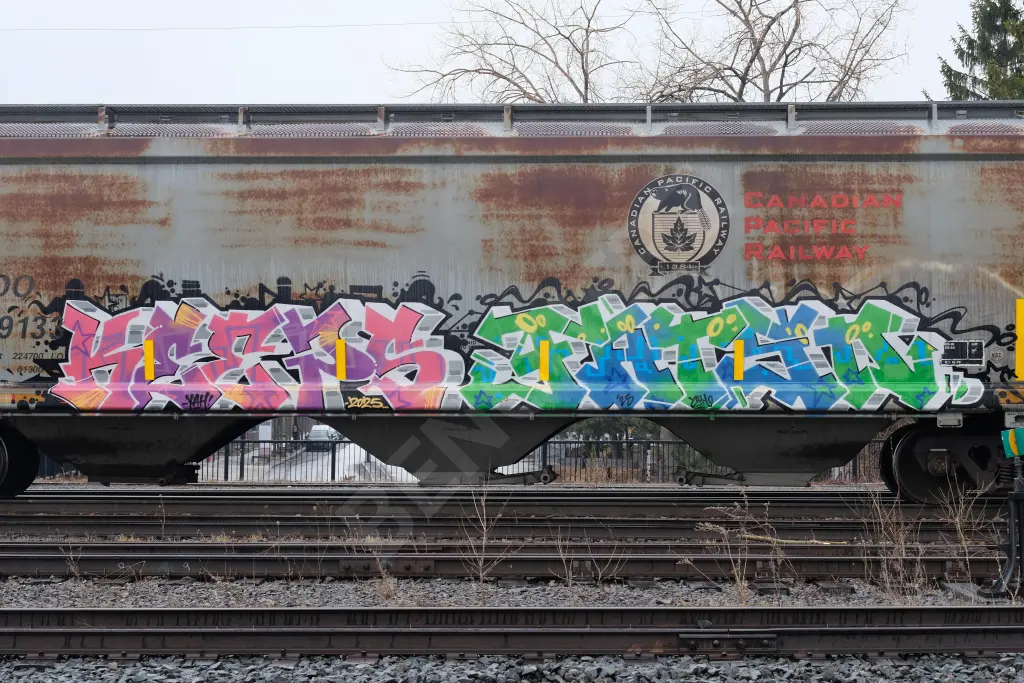 SOO119133 - NORTH-AMERICA