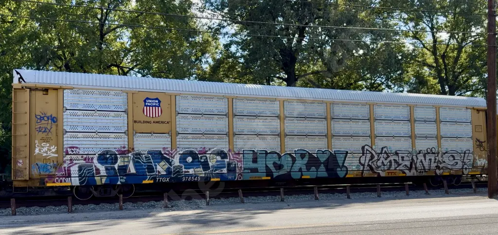 TTGX978545 - NORTH-AMERICA