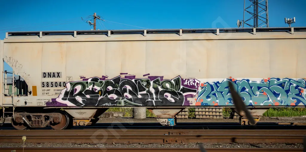 DNAX585040 - NORTH-AMERICA