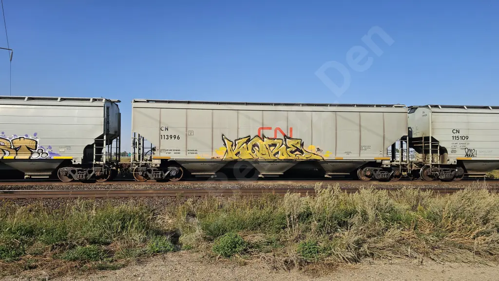 CN113996 - NORTH-AMERICA