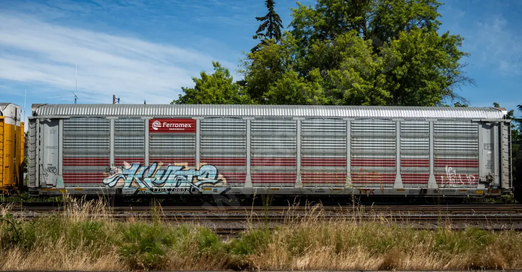 TTGX706521 - NORTH-AMERICA