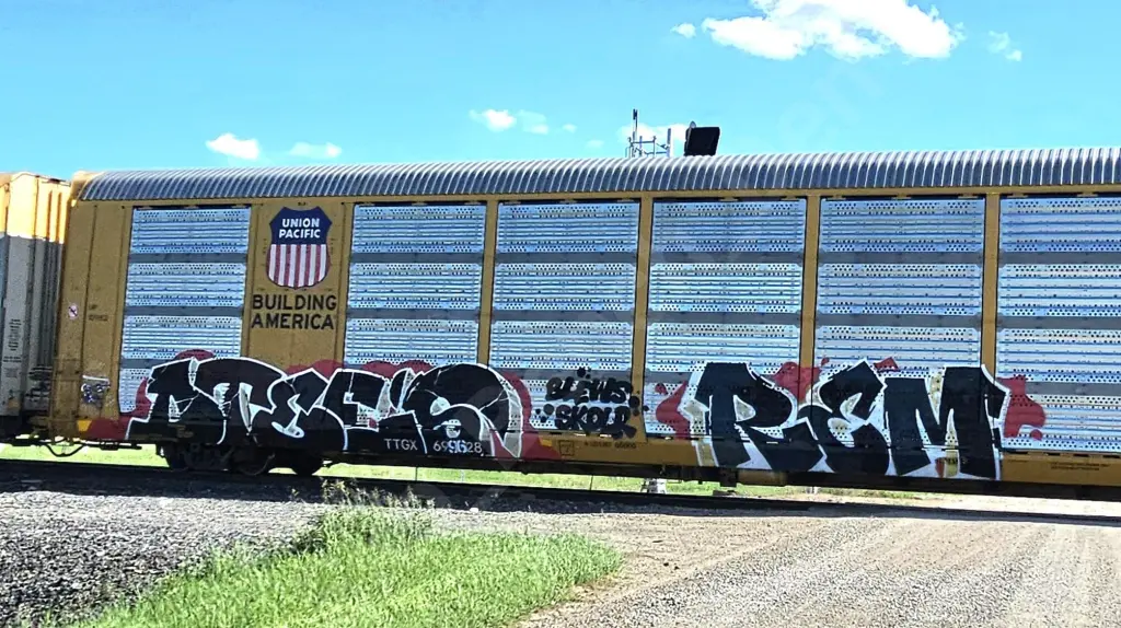 TTGX699628 - NORTH-AMERICA