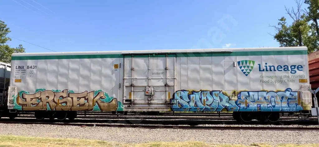 LINX8431 - NORTH-AMERICA