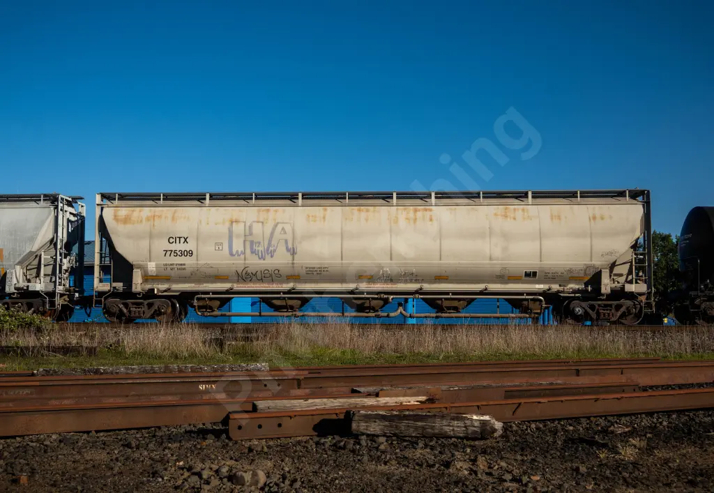 CITX775309 - NORTH-AMERICA