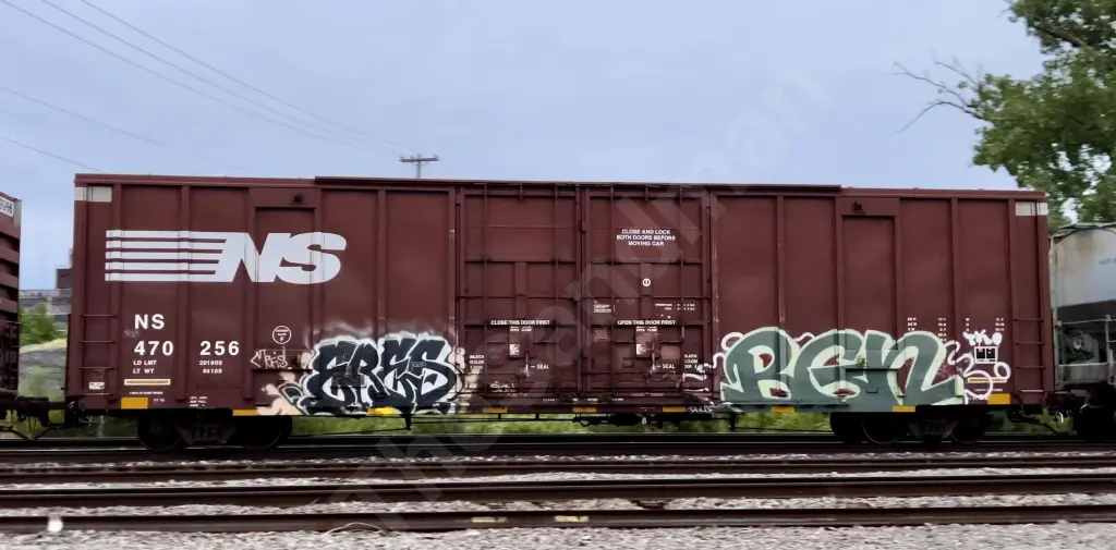 NS470256 - NORTH-AMERICA