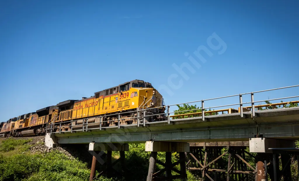 UP5939 - NORTH-AMERICA