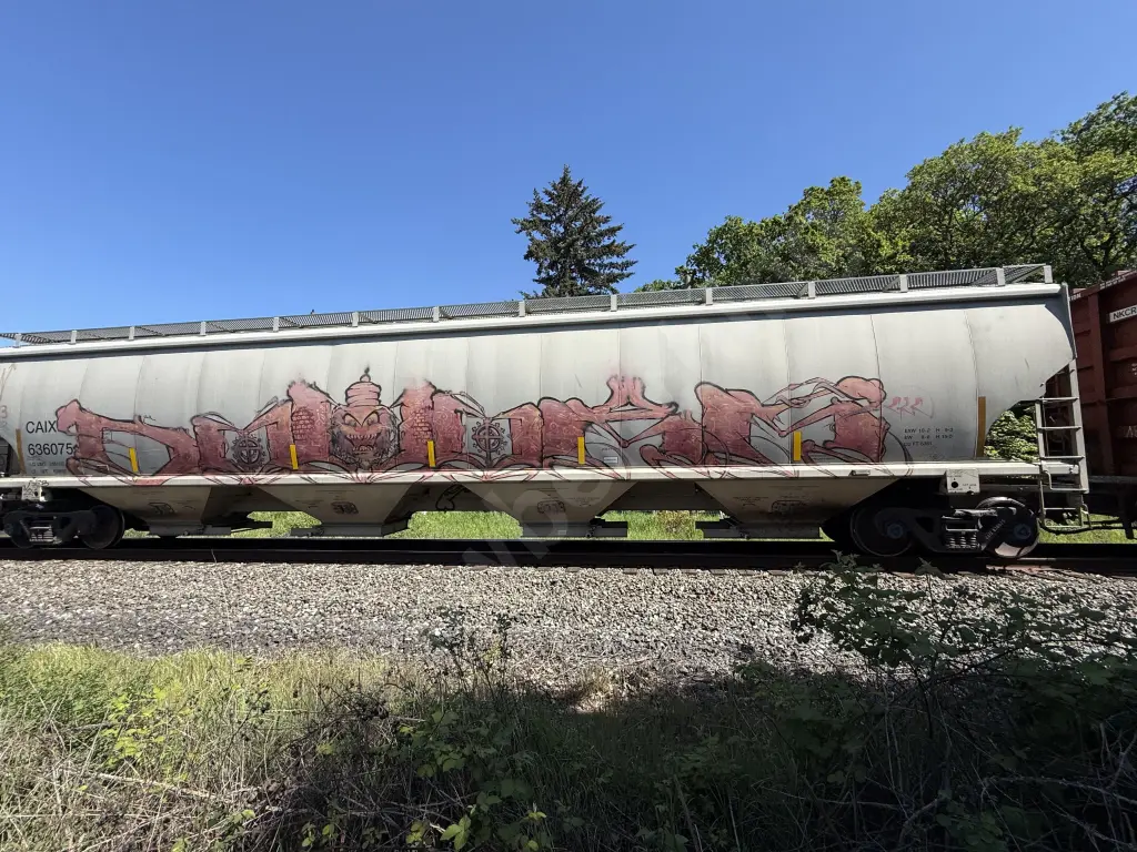 CAIX636075 - NORTH-AMERICA