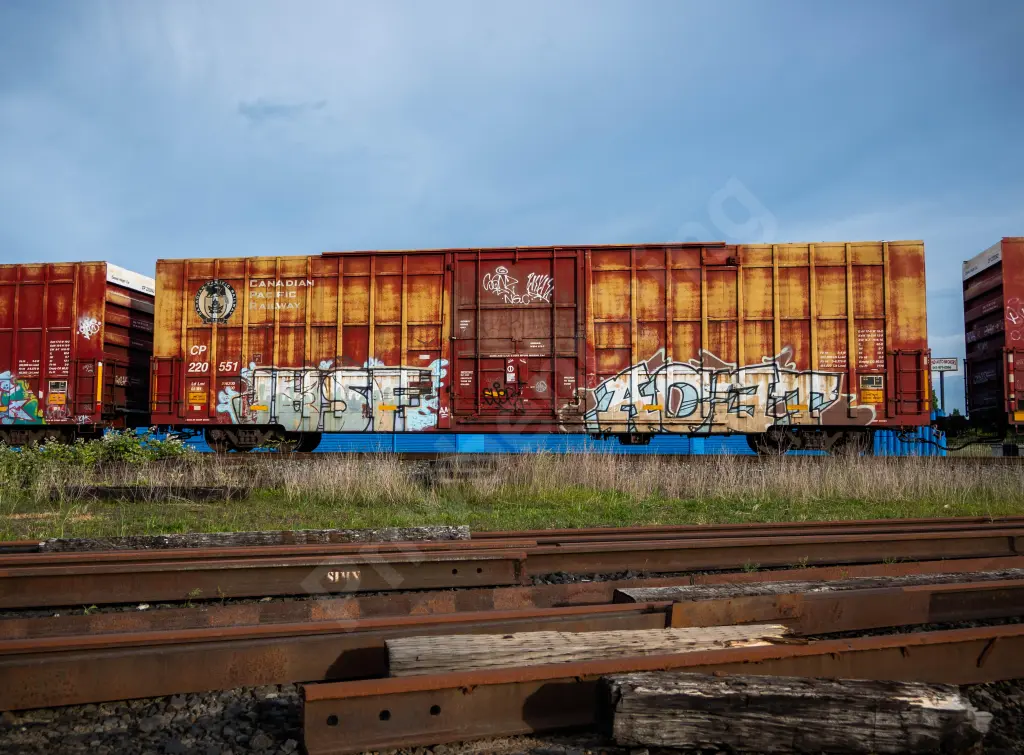 CP220551 - NORTH-AMERICA