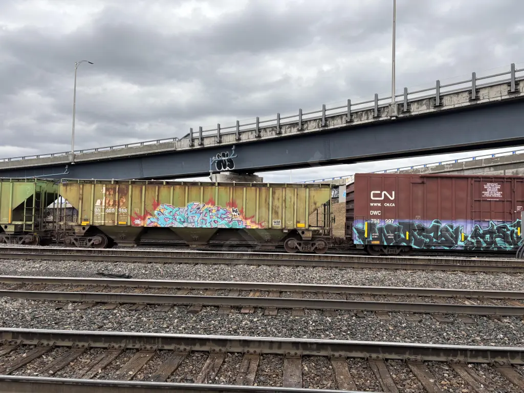 BN468965 - NORTH-AMERICA