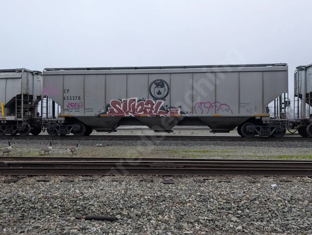 CP653278 - NORTH-AMERICA