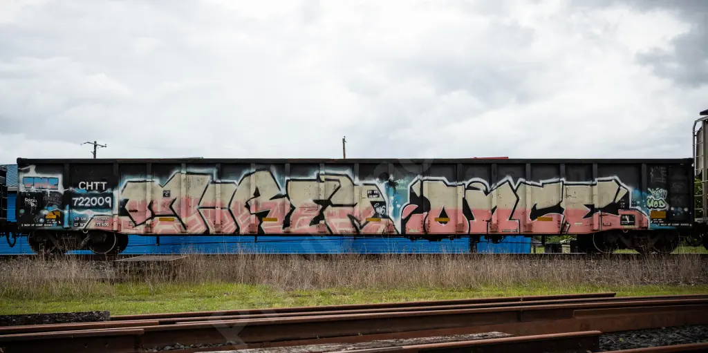 CHTT722009 - NORTH-AMERICA