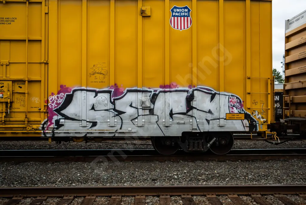 UP701255 - NORTH-AMERICA