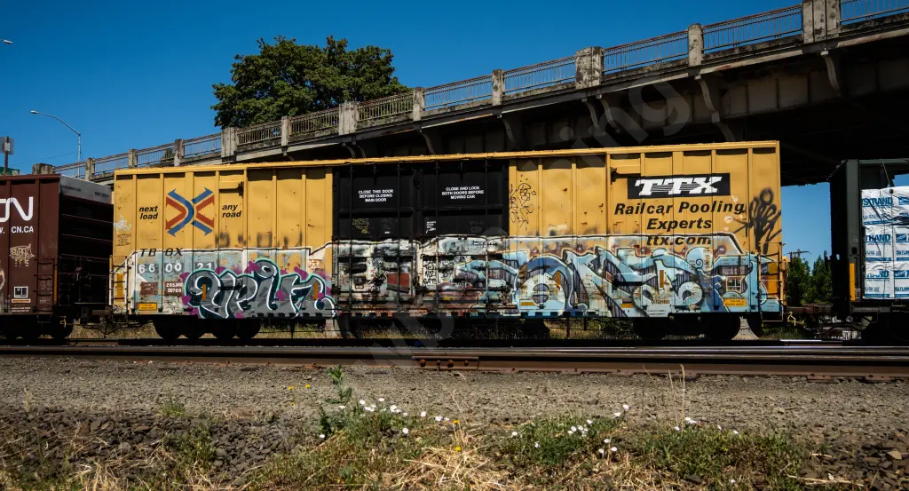 TBOX660021 - NORTH-AMERICA
