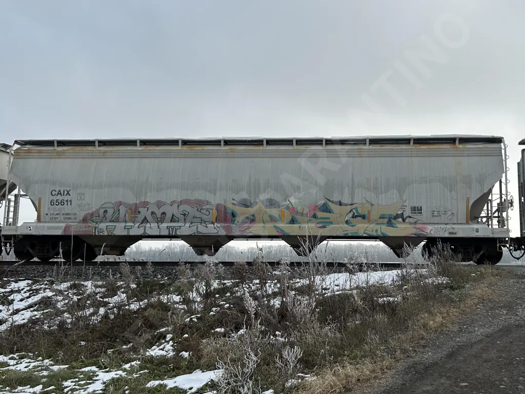 CAIX65611 - NORTH-AMERICA