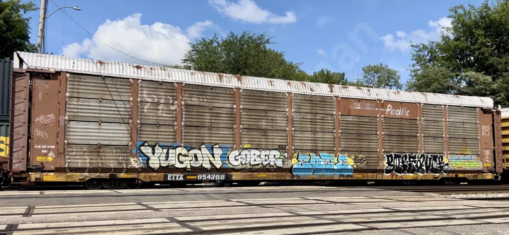 Train photo