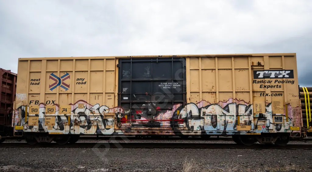 FBOX505071 - NORTH-AMERICA