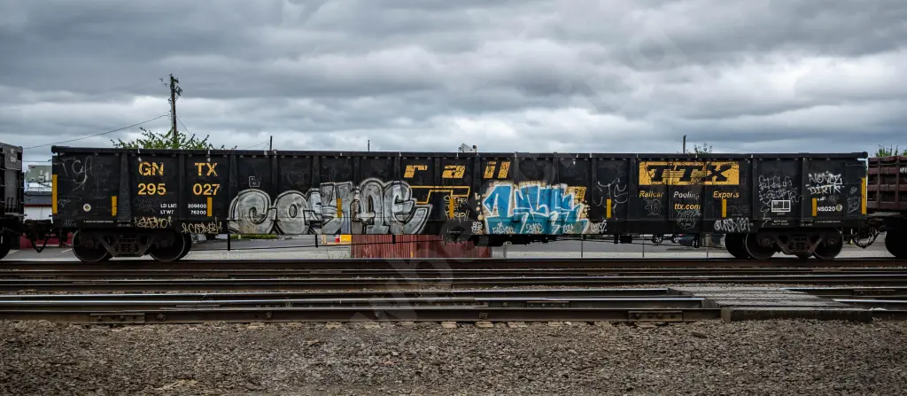 GNTX295027 - NORTH-AMERICA