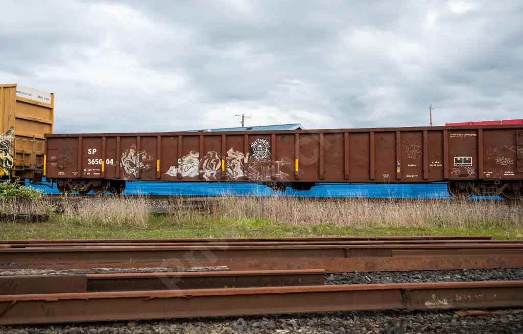 SP365004 - NORTH-AMERICA