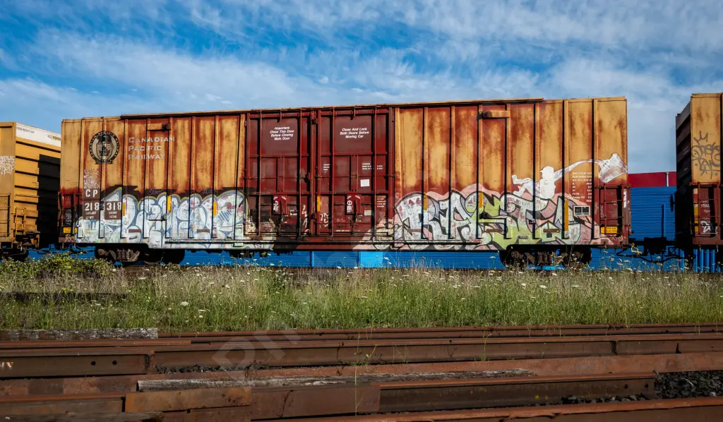 CP218318 - NORTH-AMERICA