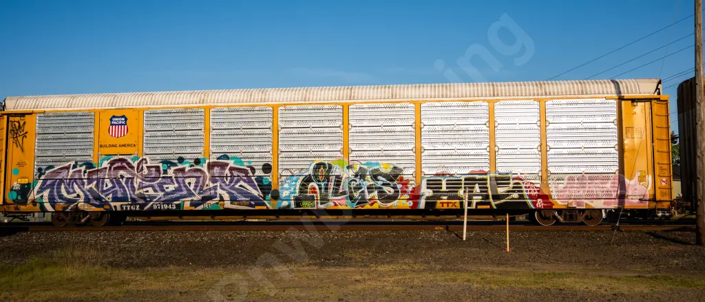 TTGX971943 - NORTH-AMERICA