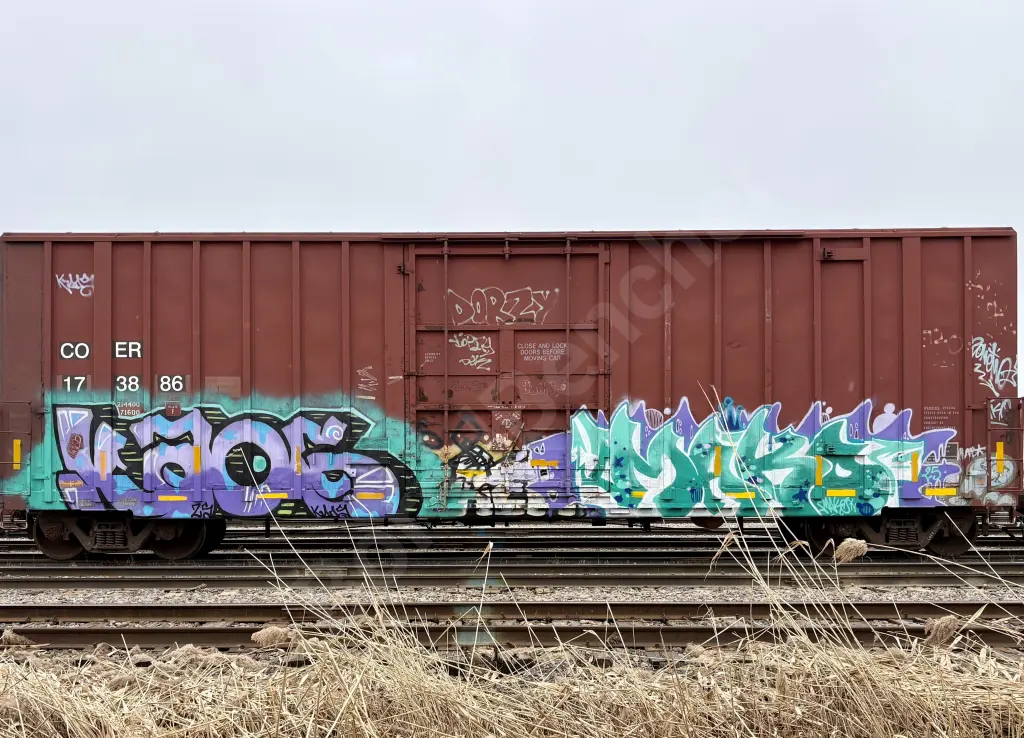 COER173886 - NORTH-AMERICA