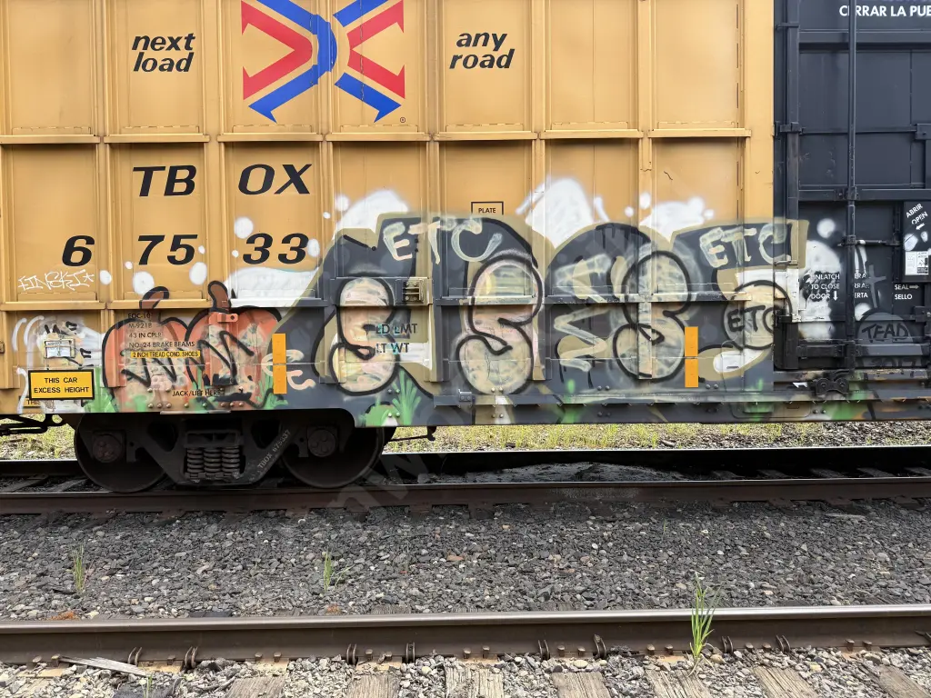 TBOX67533 - NORTH-AMERICA