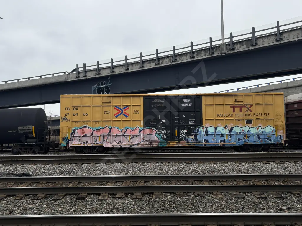 TBOX676466 - NORTH-AMERICA