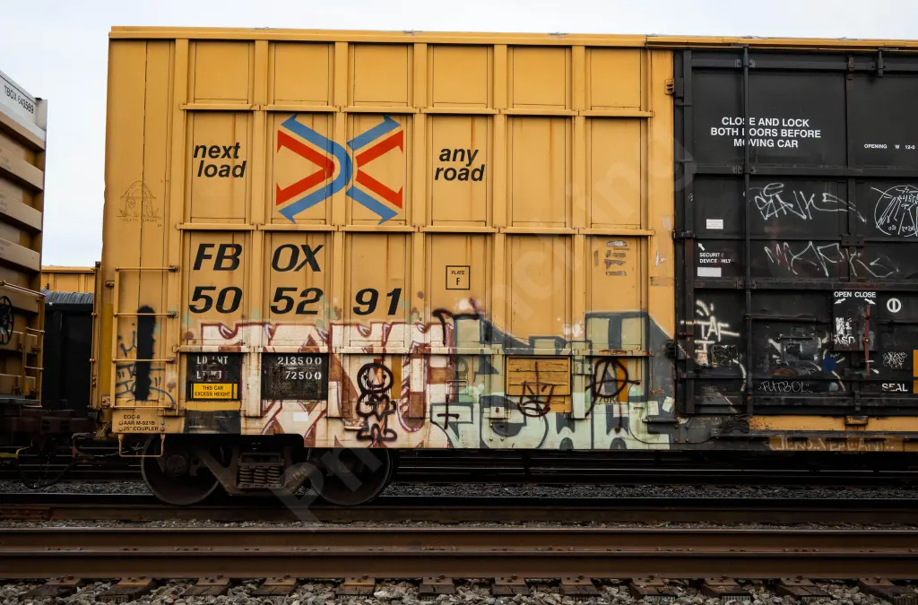 FBOX505291 - NORTH-AMERICA