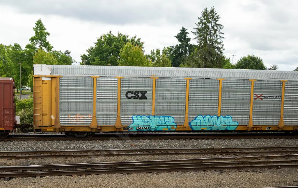 TTGX709302 - NORTH-AMERICA
