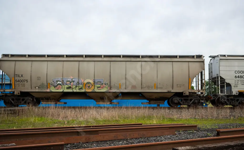 TILX540075 - NORTH-AMERICA