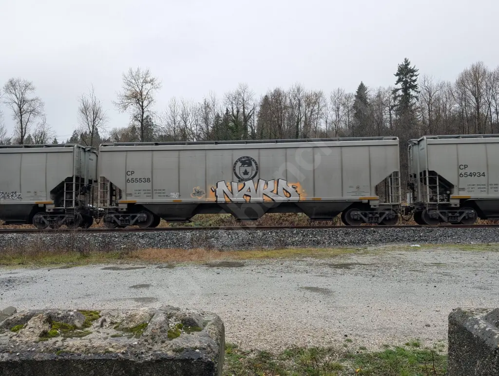 CP655538 - NORTH-AMERICA