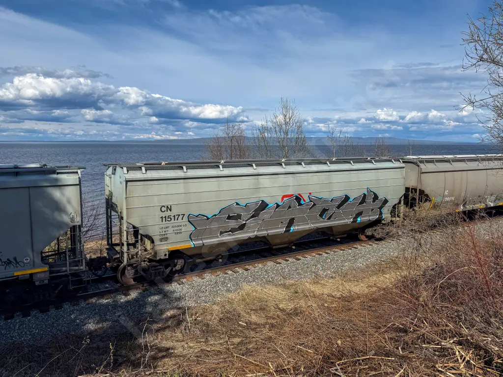 CN115177 - NORTH-AMERICA