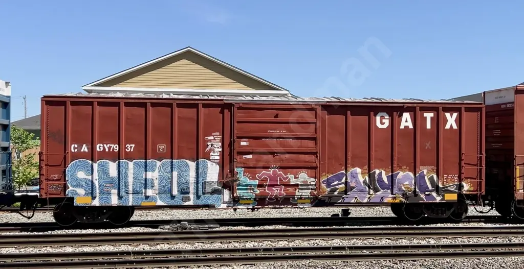 CAGY7937 - NORTH-AMERICA