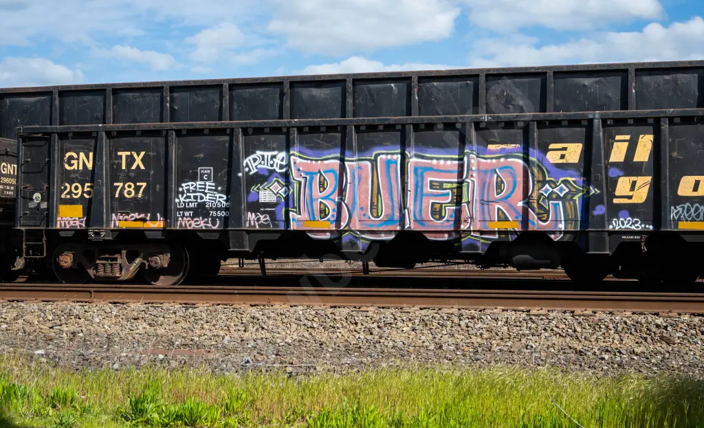 GNTX295787 - NORTH-AMERICA