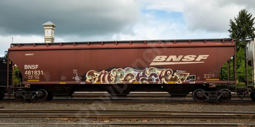 BNSF481831 - NORTH-AMERICA