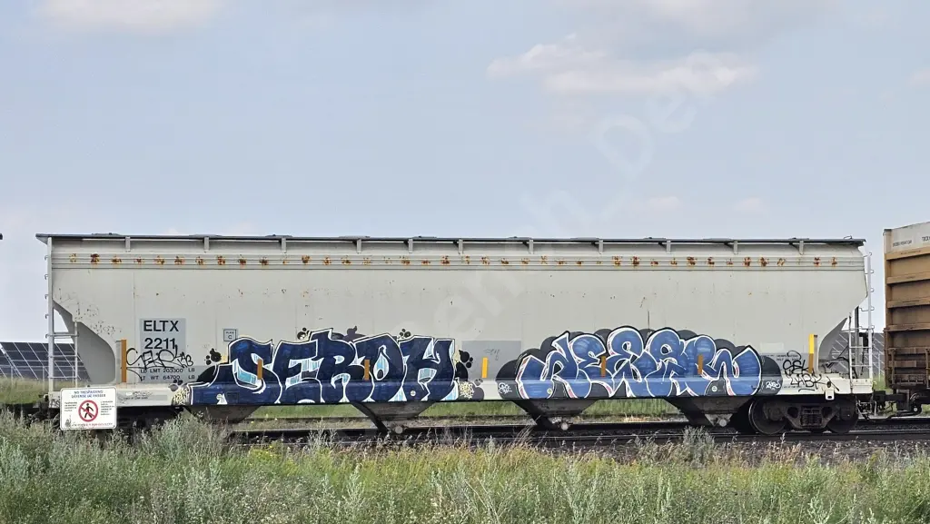 Train photo