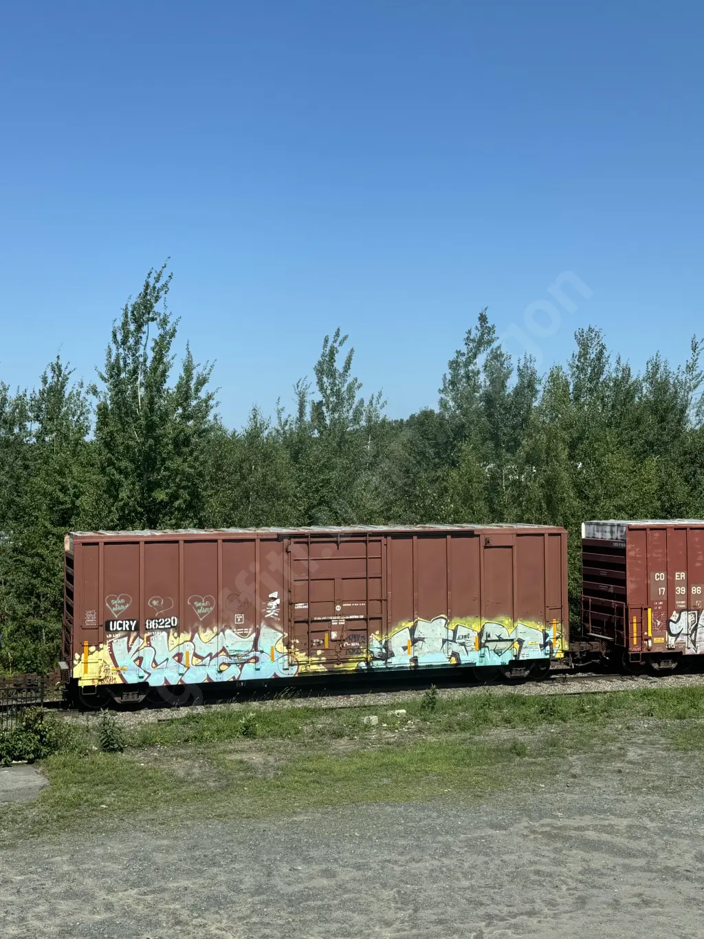 UCRY86220 - NORTH-AMERICA
